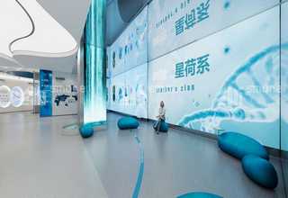 江苏卷绕镀膜机生产