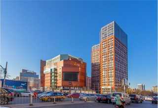 江苏宽叶雀稗草种成活率